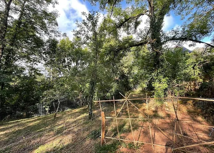 La Vacale- 2 A 10 Personnes Capendac